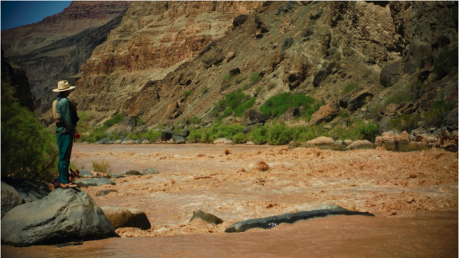 Grand Canyon Youth River Guide standing and scouting river rapid on the Colorado River