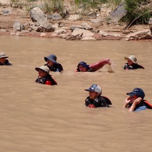 MSA 1: Middle School Adventure 1